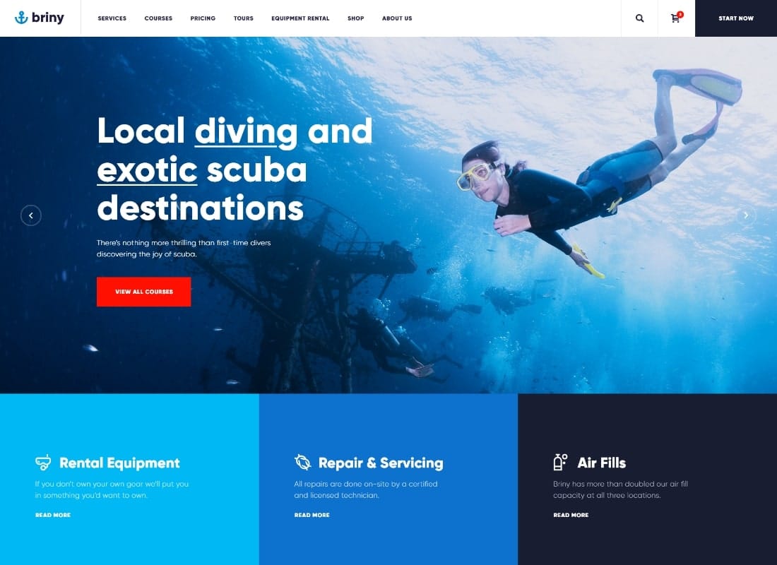 Briny | Scuba Diving & Water Sports WordPress Theme Website Template