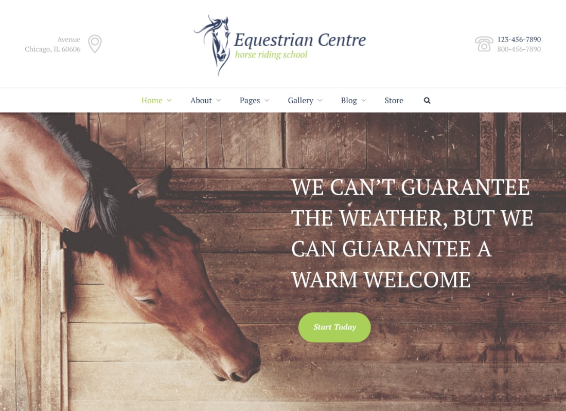 Equestrian Centre | Equestrian & Horse-riding School WordPress Theme Website Template