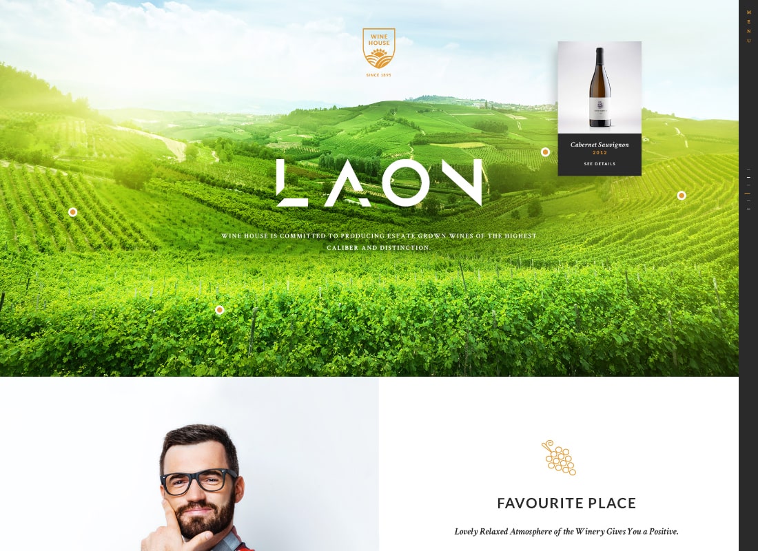 Laon | Wine House, Vineyard & Liquor WordPress Theme + Shop Website Template