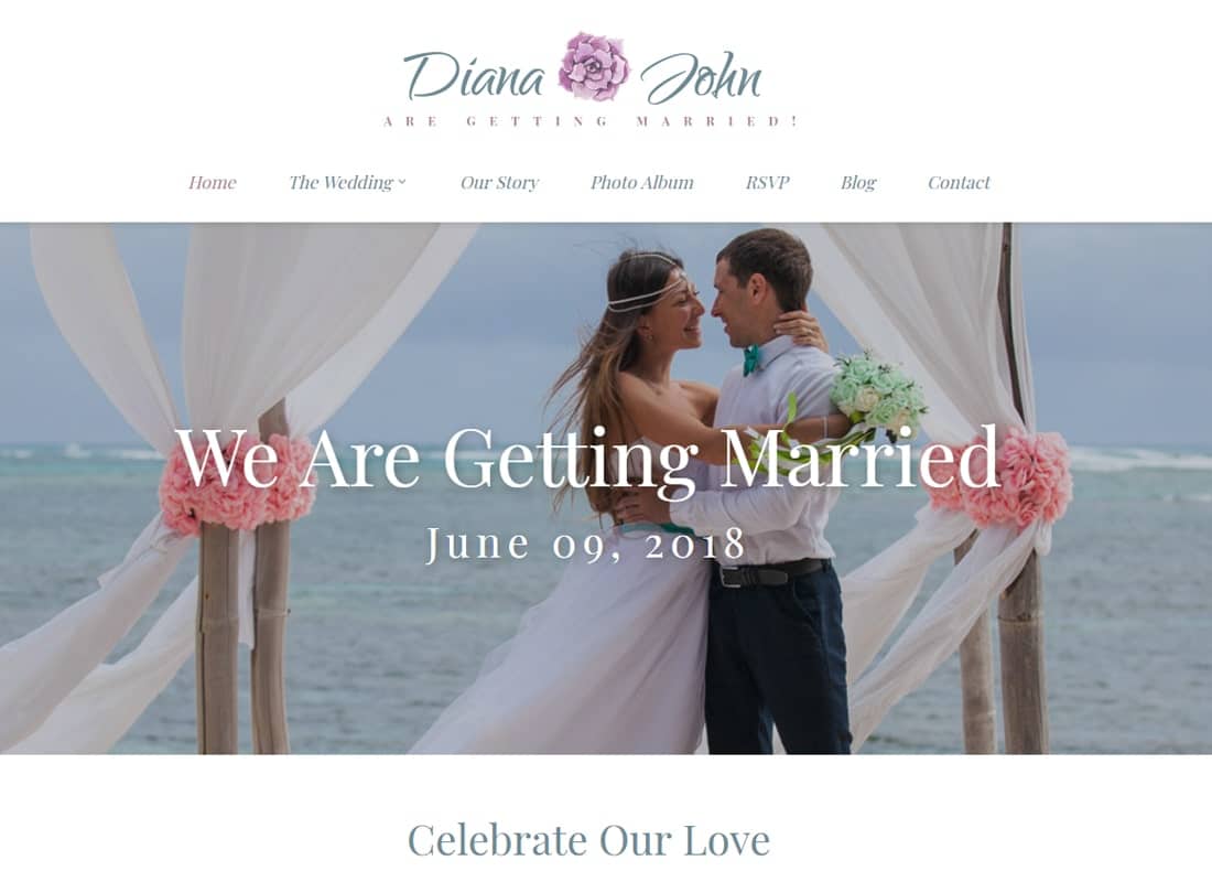 Special Day - Wedding Planner WordPress Theme Website Template