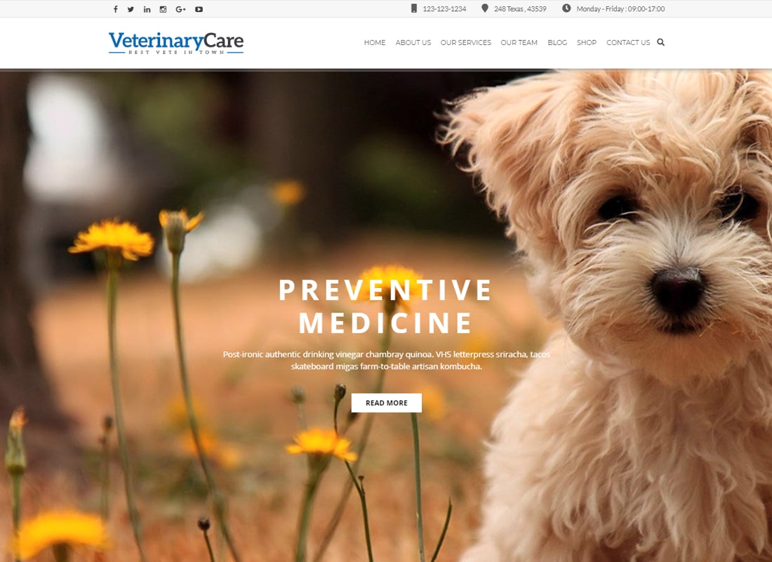Vet Care - Pet Care & Veterinary WordPress Theme Website Template