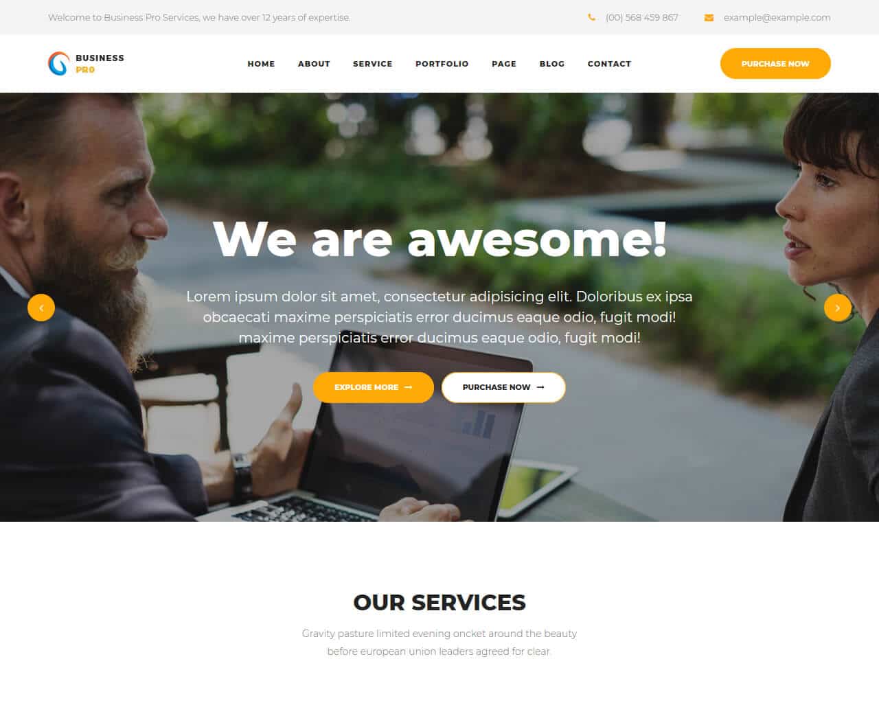 25+ Pro Business Website Templates 2019 TemplateMag