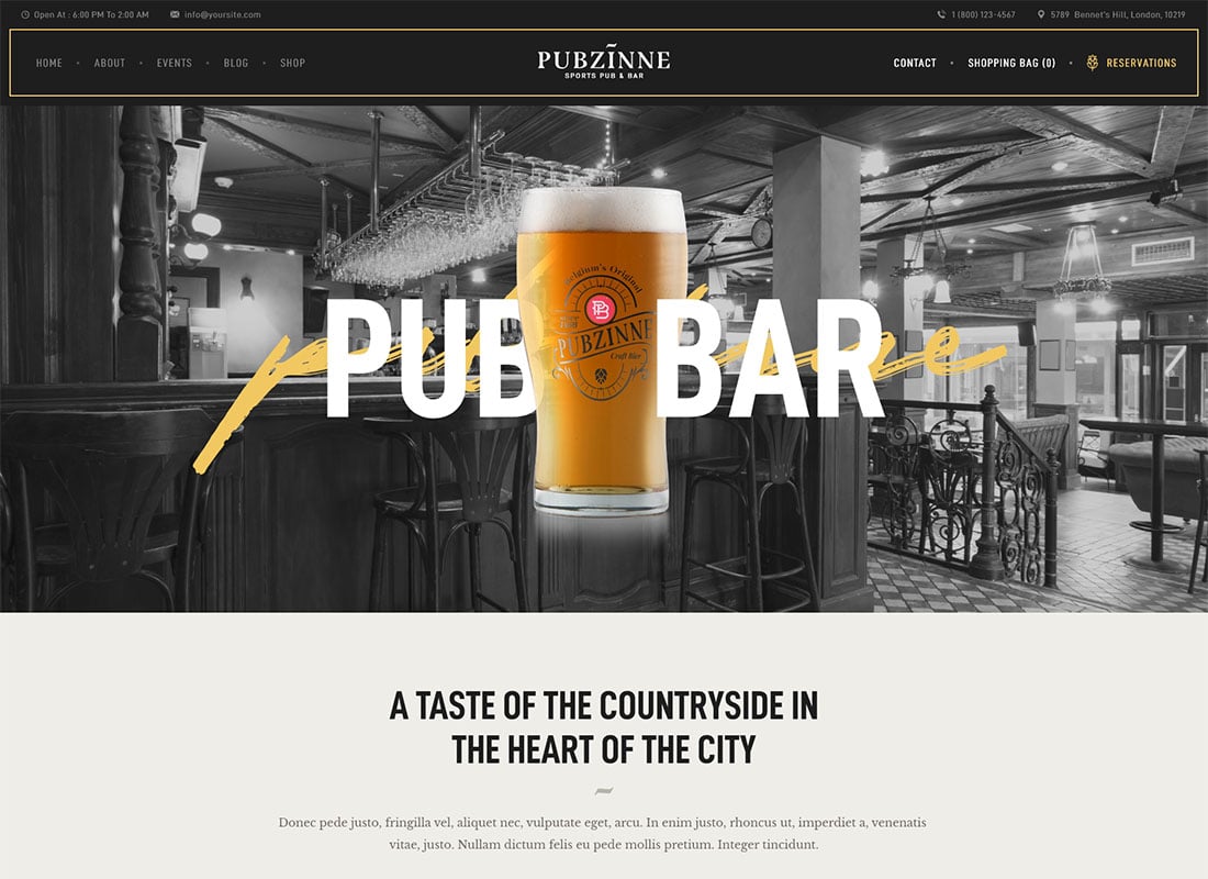 Pubzinne - Sports Bar WordPress Theme Website Template